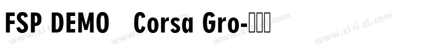 FSP DEMO   Corsa Gro字体转换